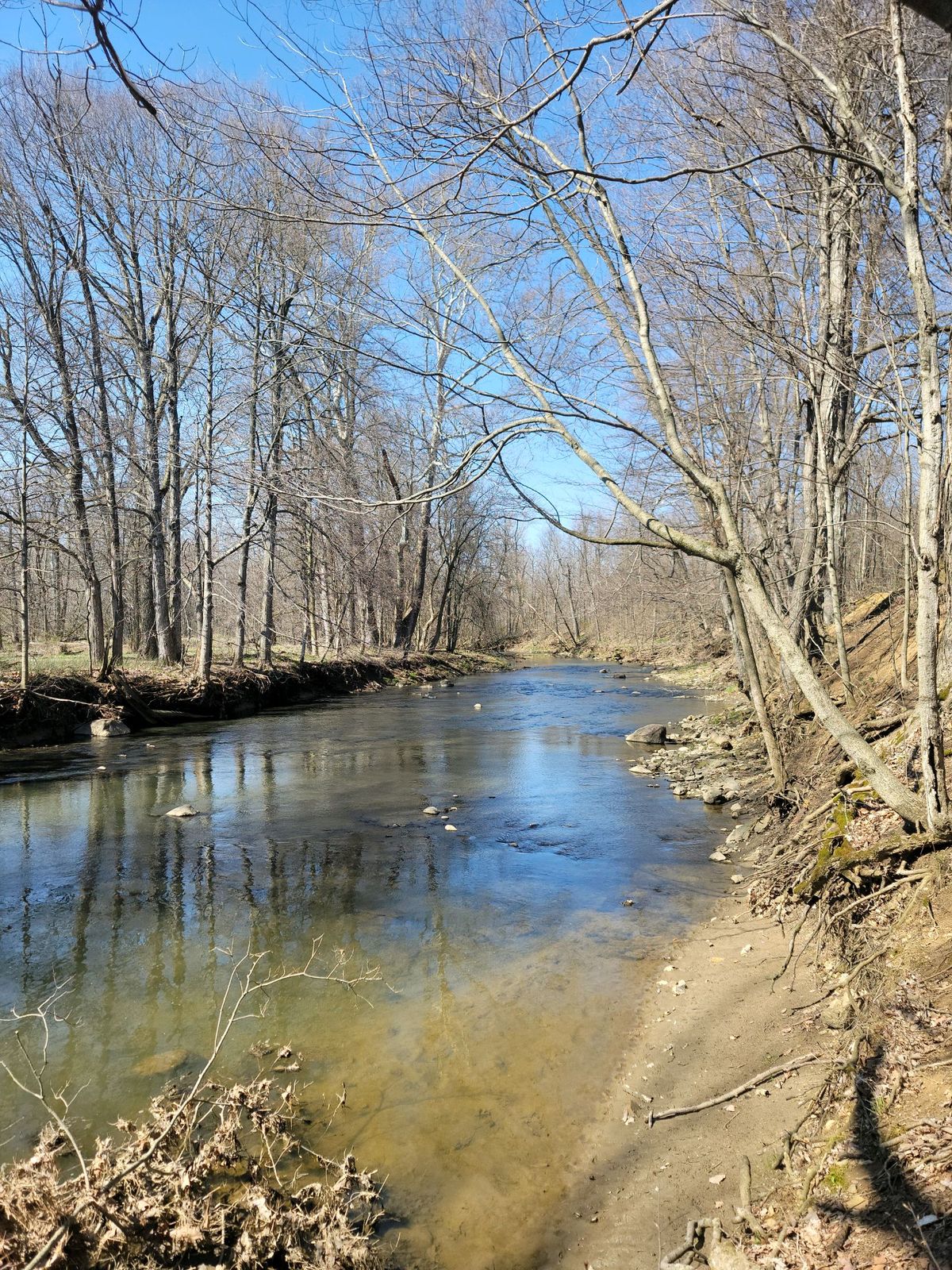 Huron River on the edge of the property.
River is OB