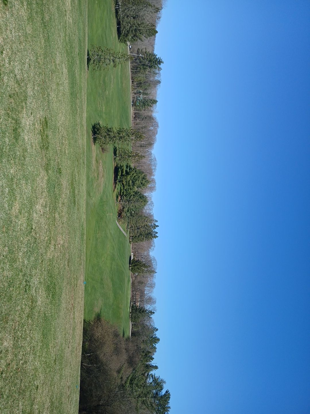 Early spring 2024