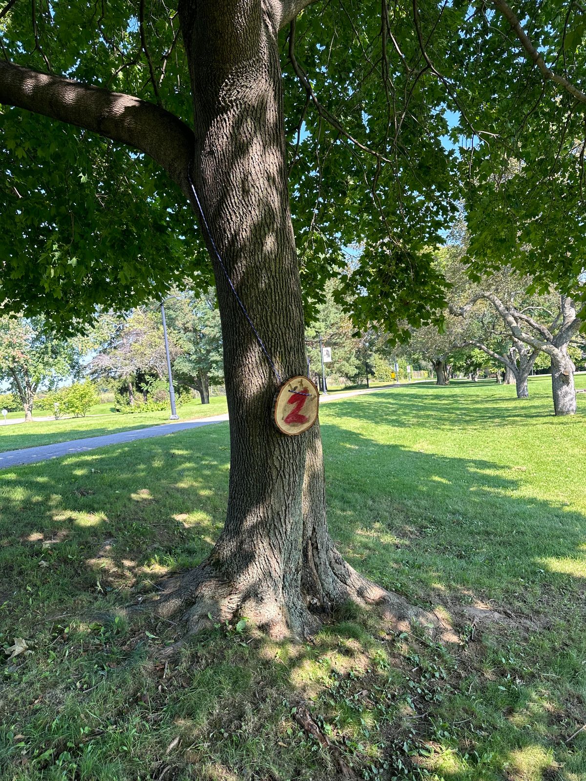 Tree target of 2