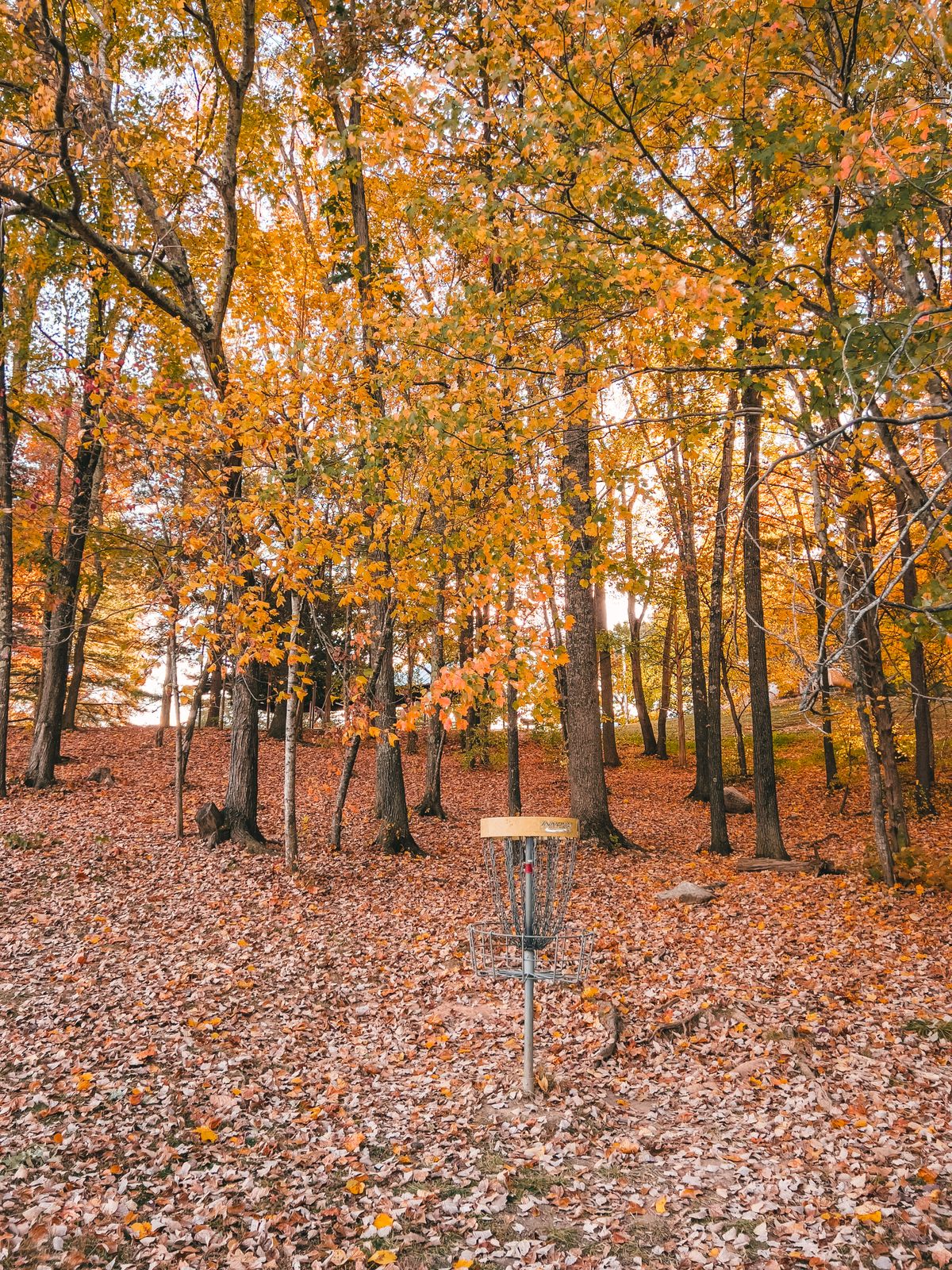Hole 4