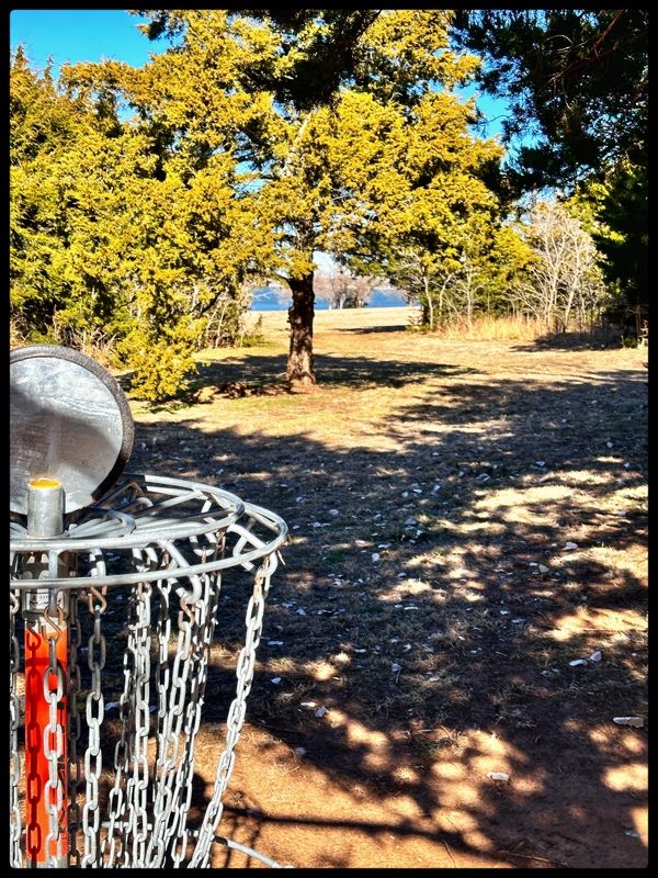 #13 basket looking back to Tee