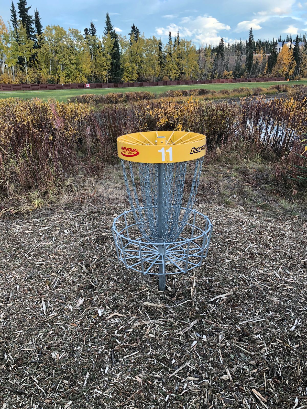 Fresh mulch around baskets