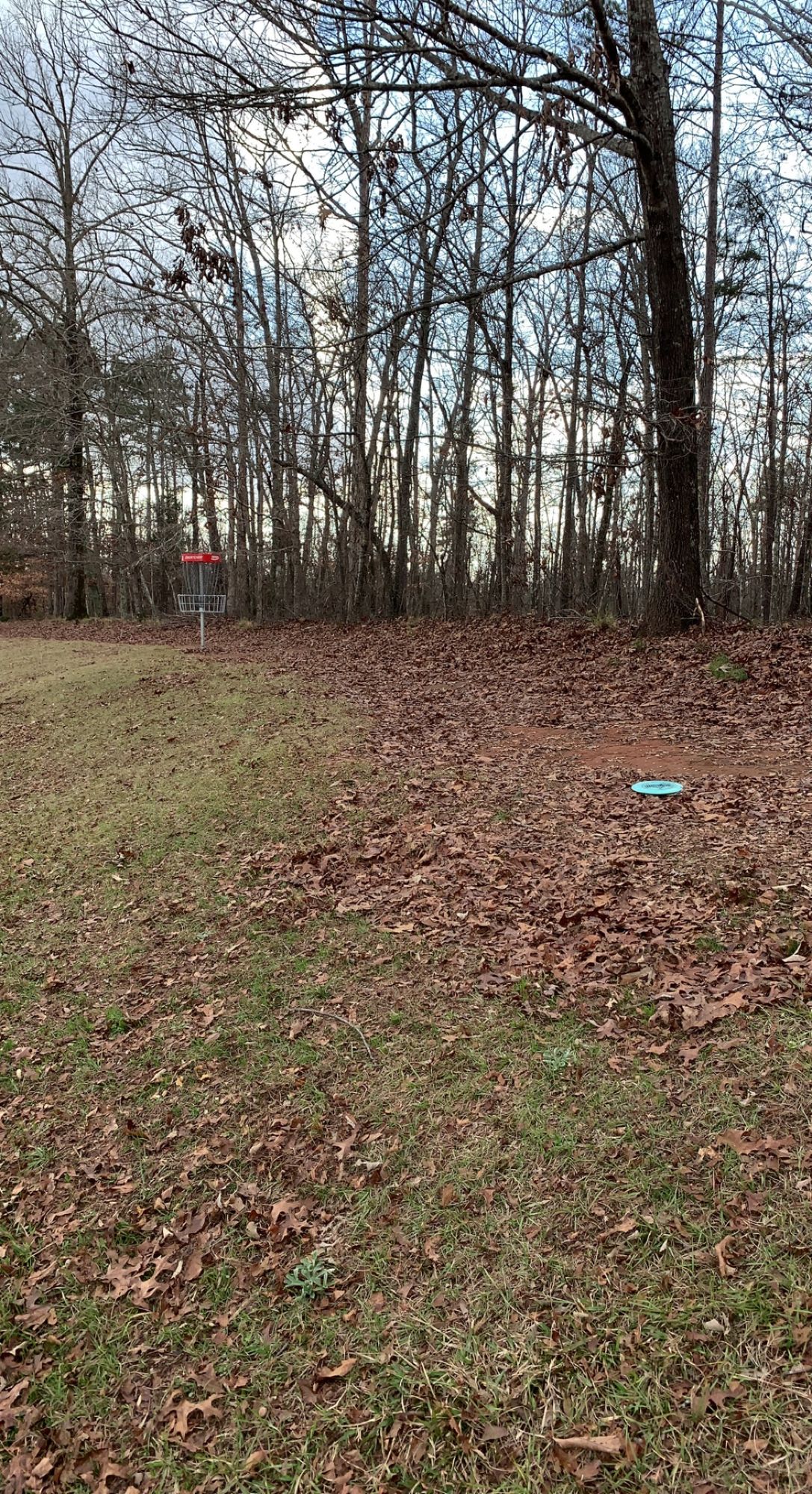 Hole 2 basket area