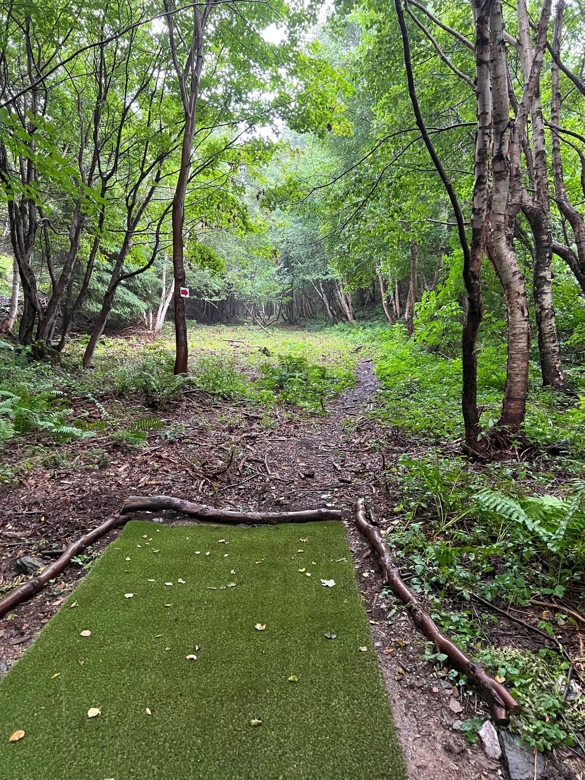 Hole 13 Tee