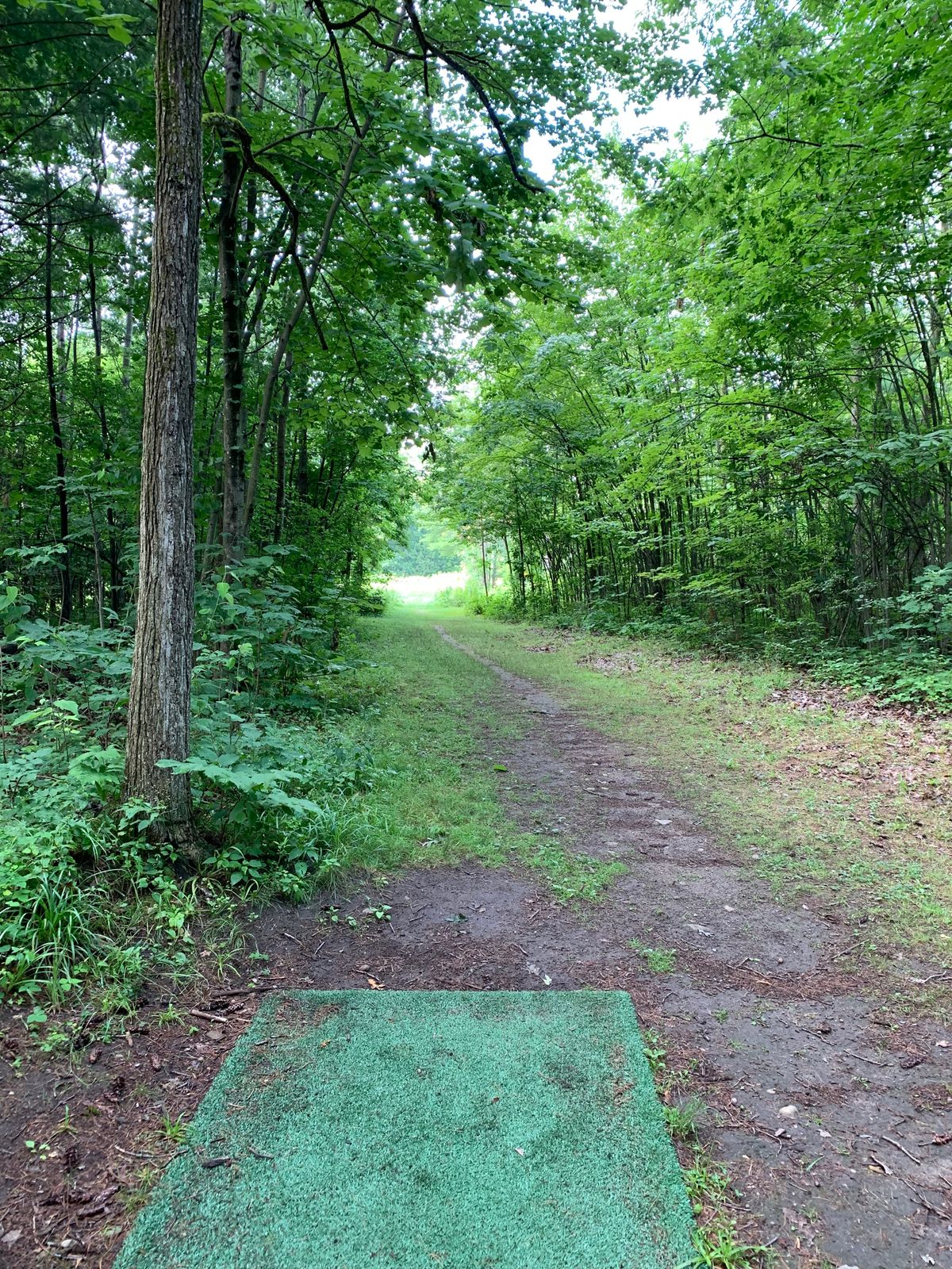 Hole 2