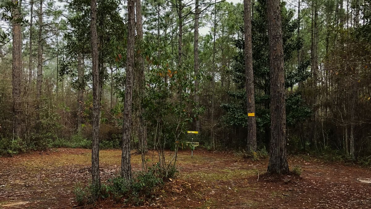 Hole 6