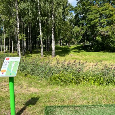 First tee pad, lot of trees!