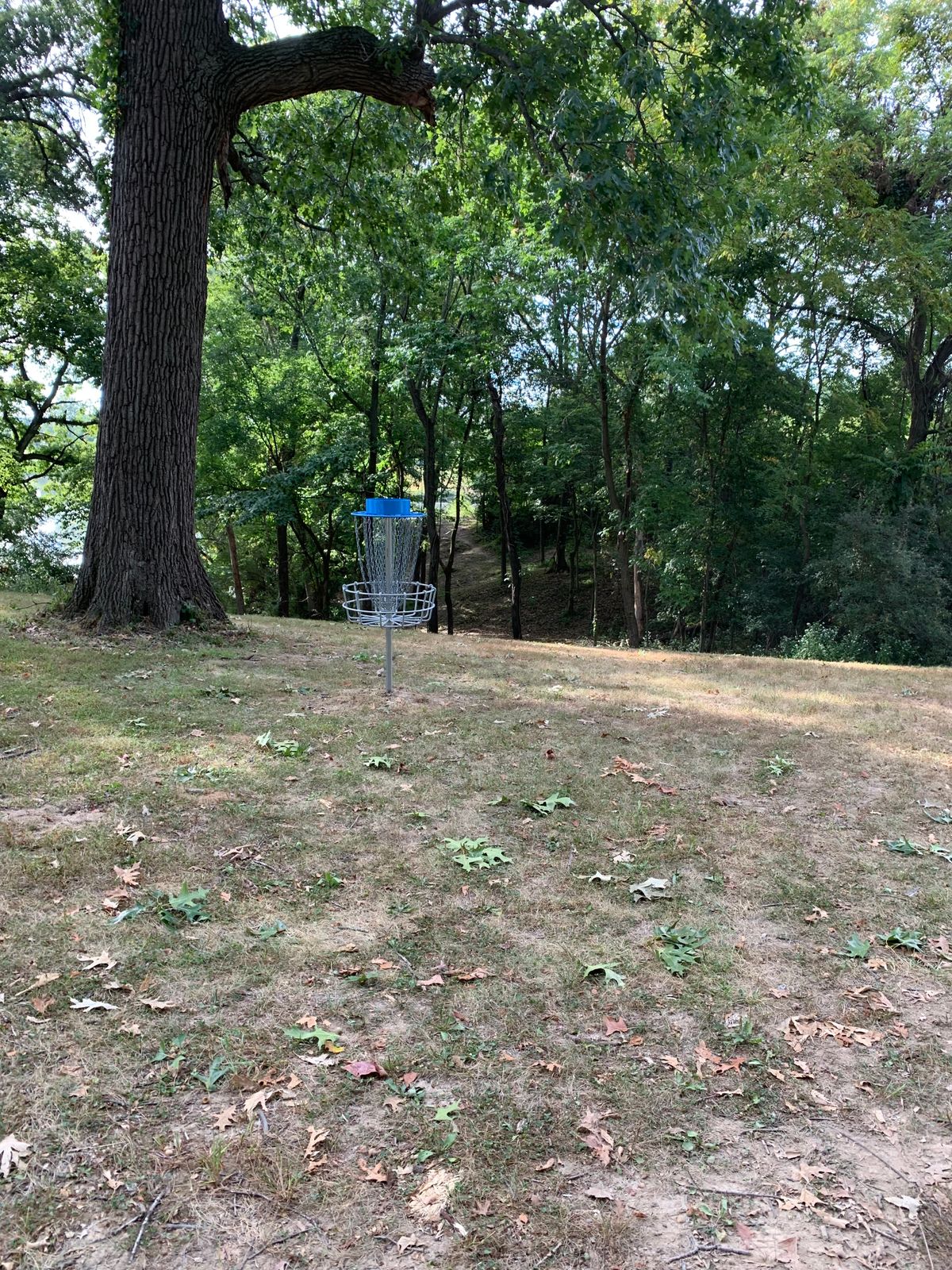 Hole 16 view behind basket