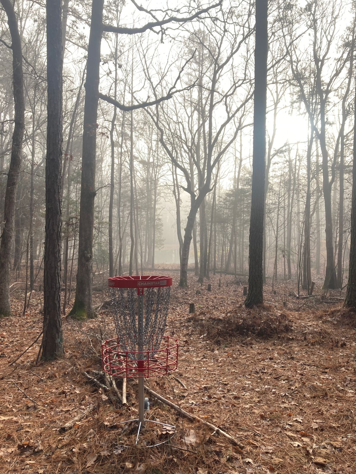 Hole 17 green