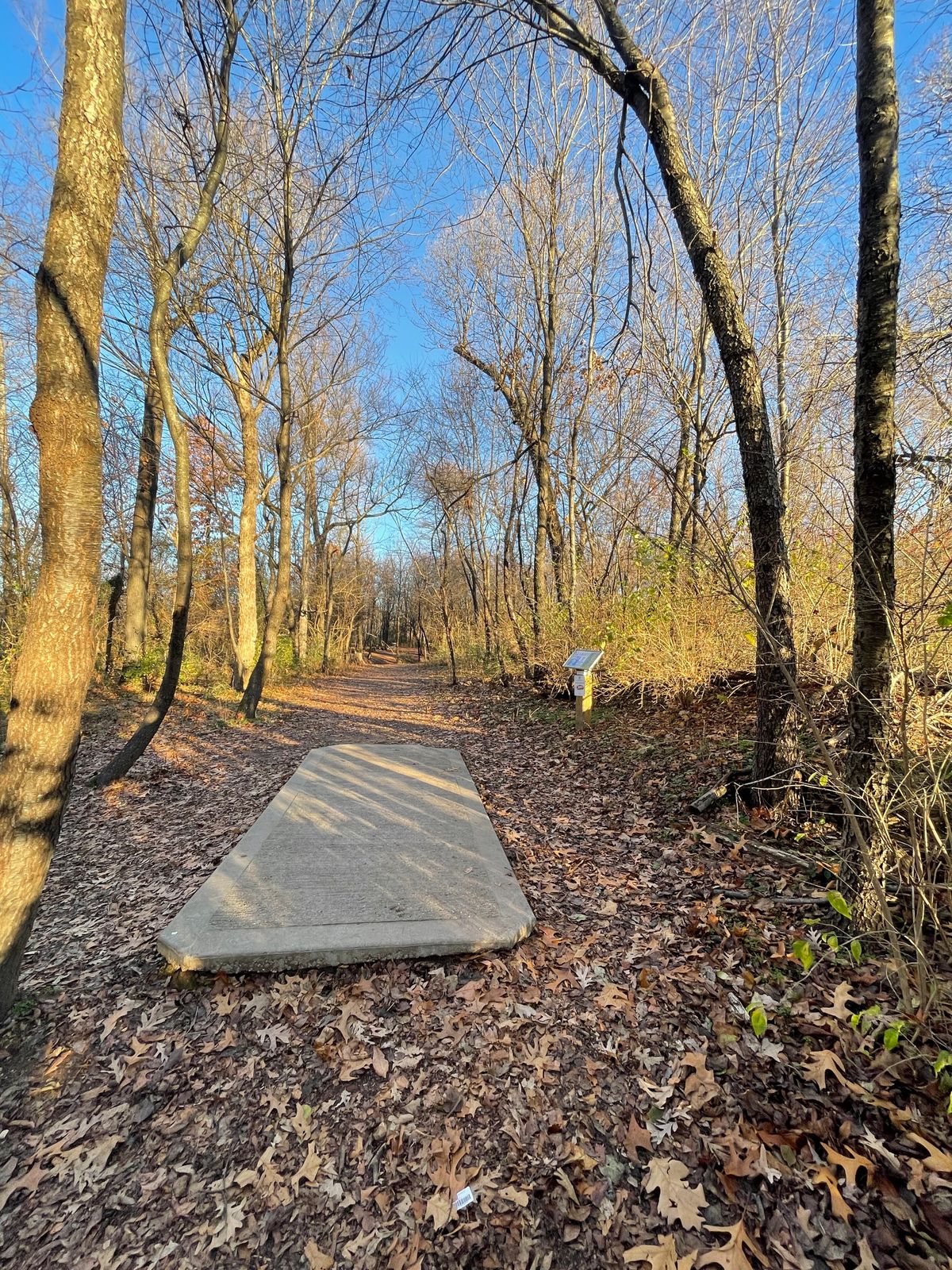 Hole 2 tee pad