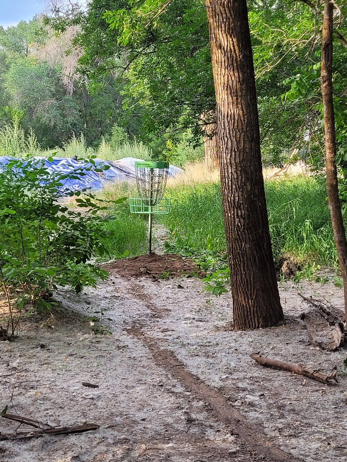 Hole #4 basket