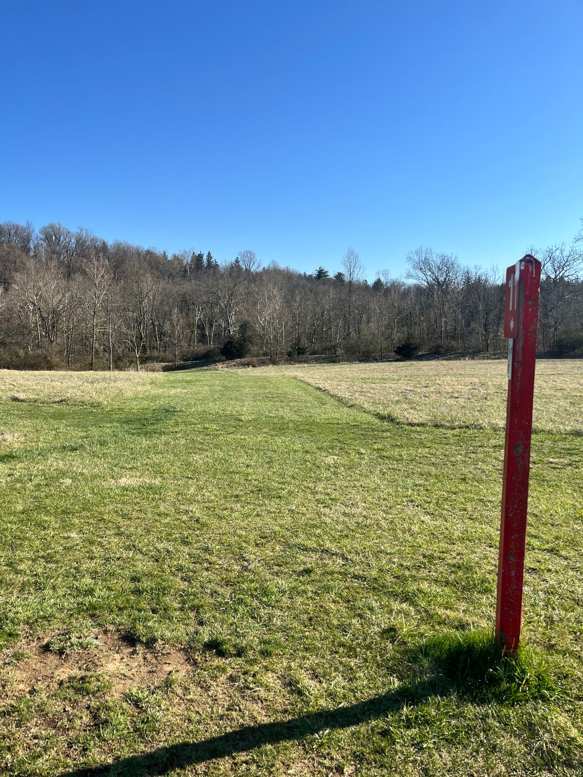 Hole 11 Tee