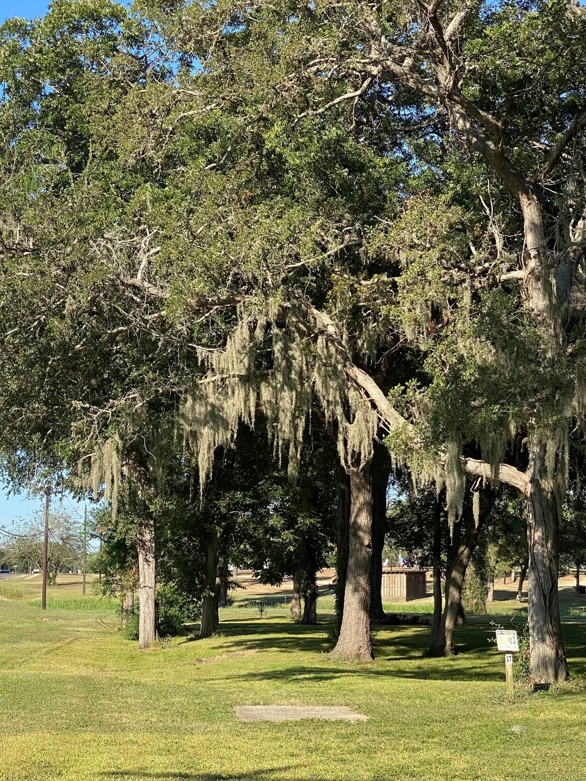 Hole 17. Are you going straight down the tunnel or wide around the left side?