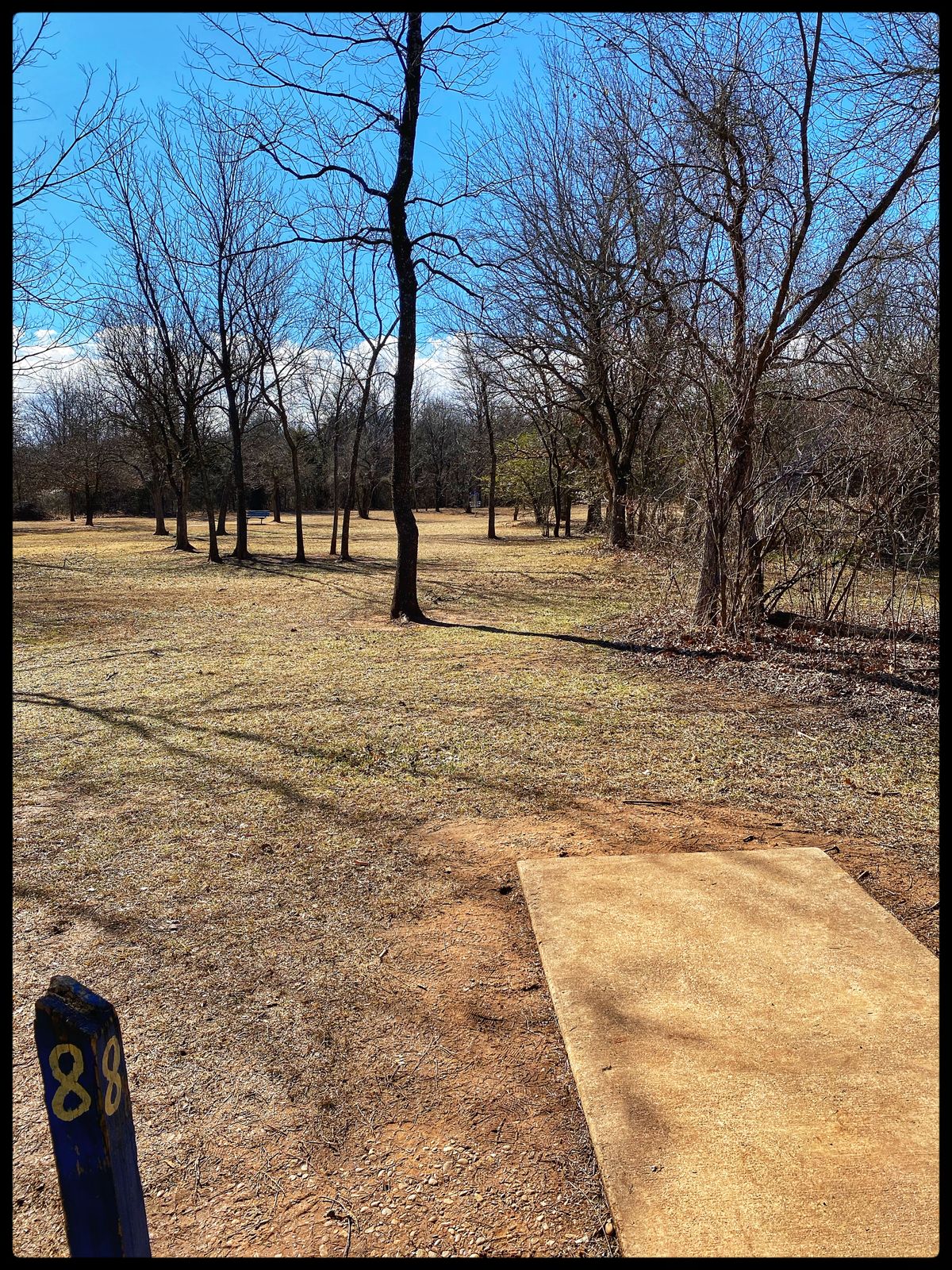 #8 Tee Throwing south
