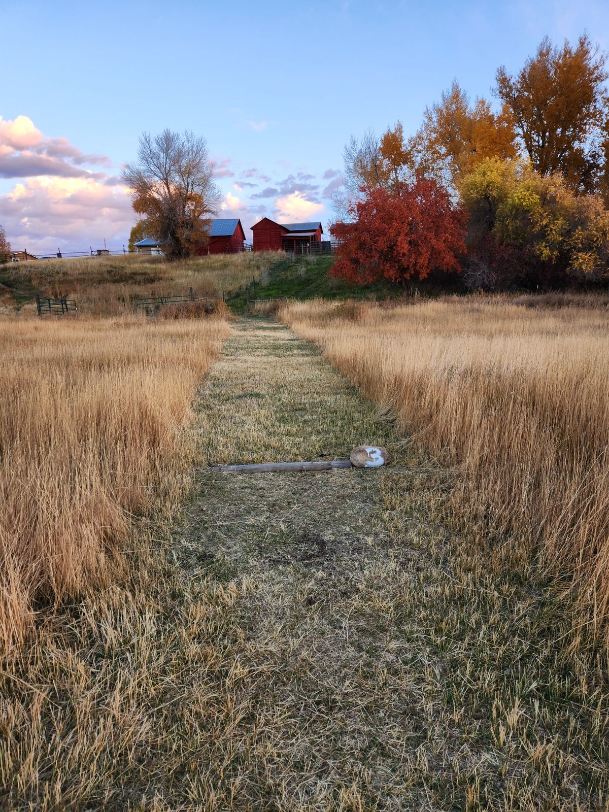 Tee pad 3