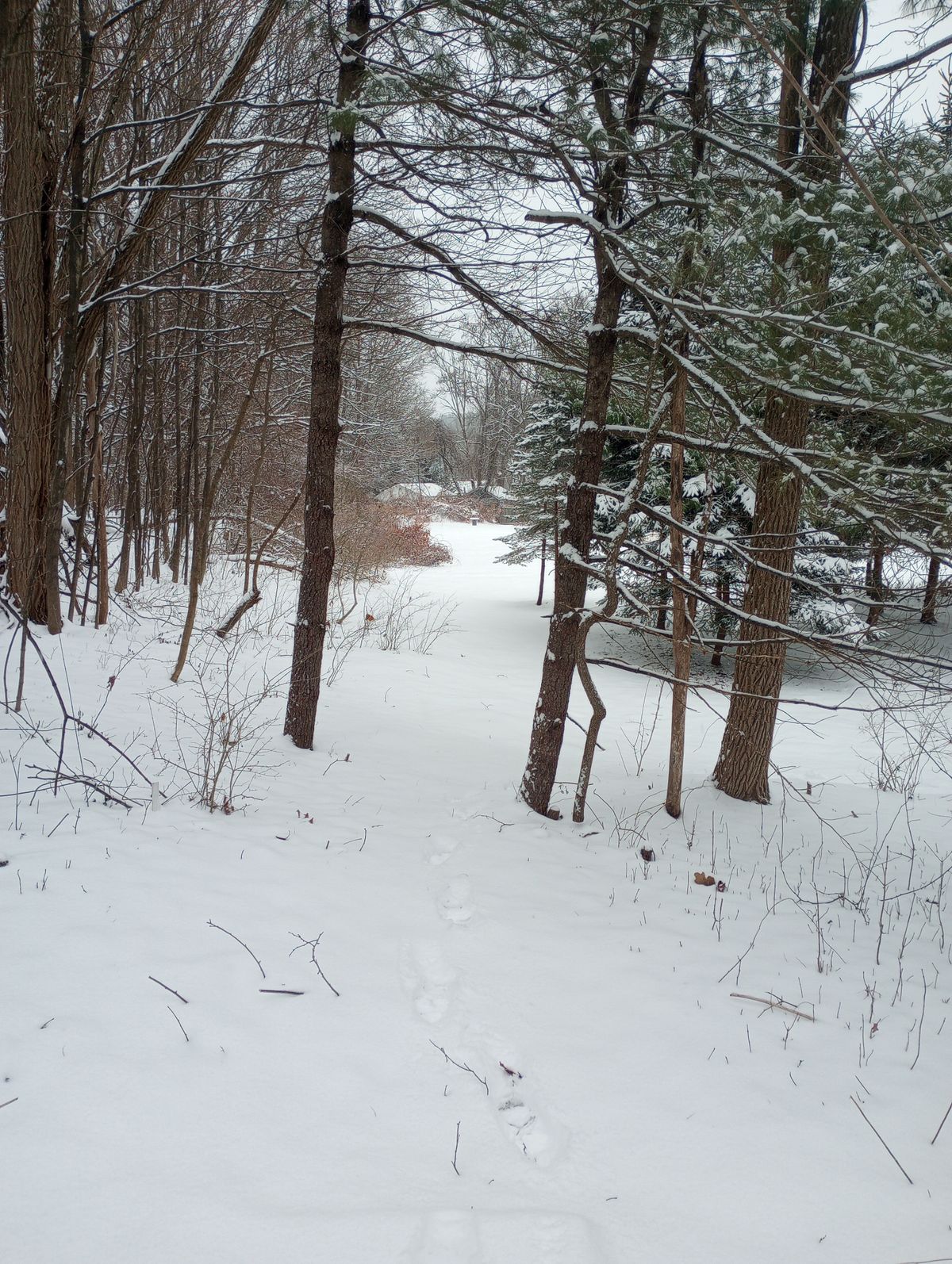 Tee Winter