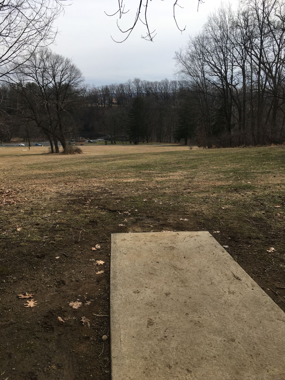 Hole 4