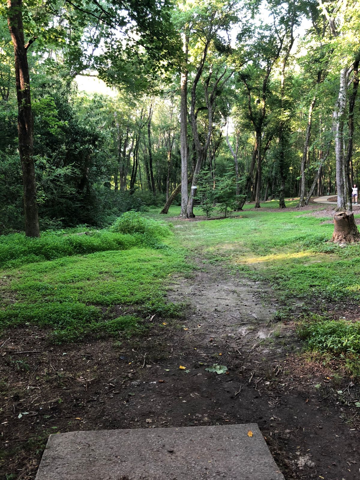 Hole 7 tee.