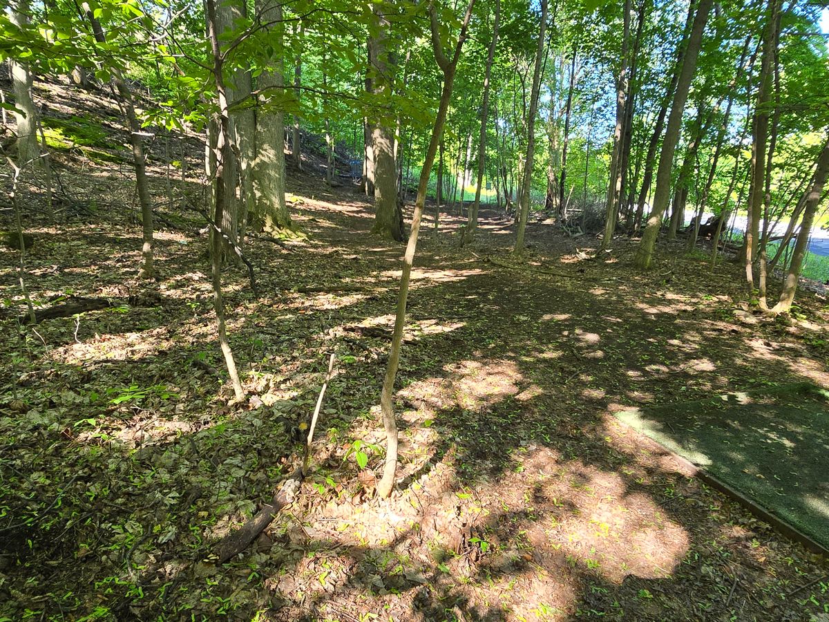 Hole 8