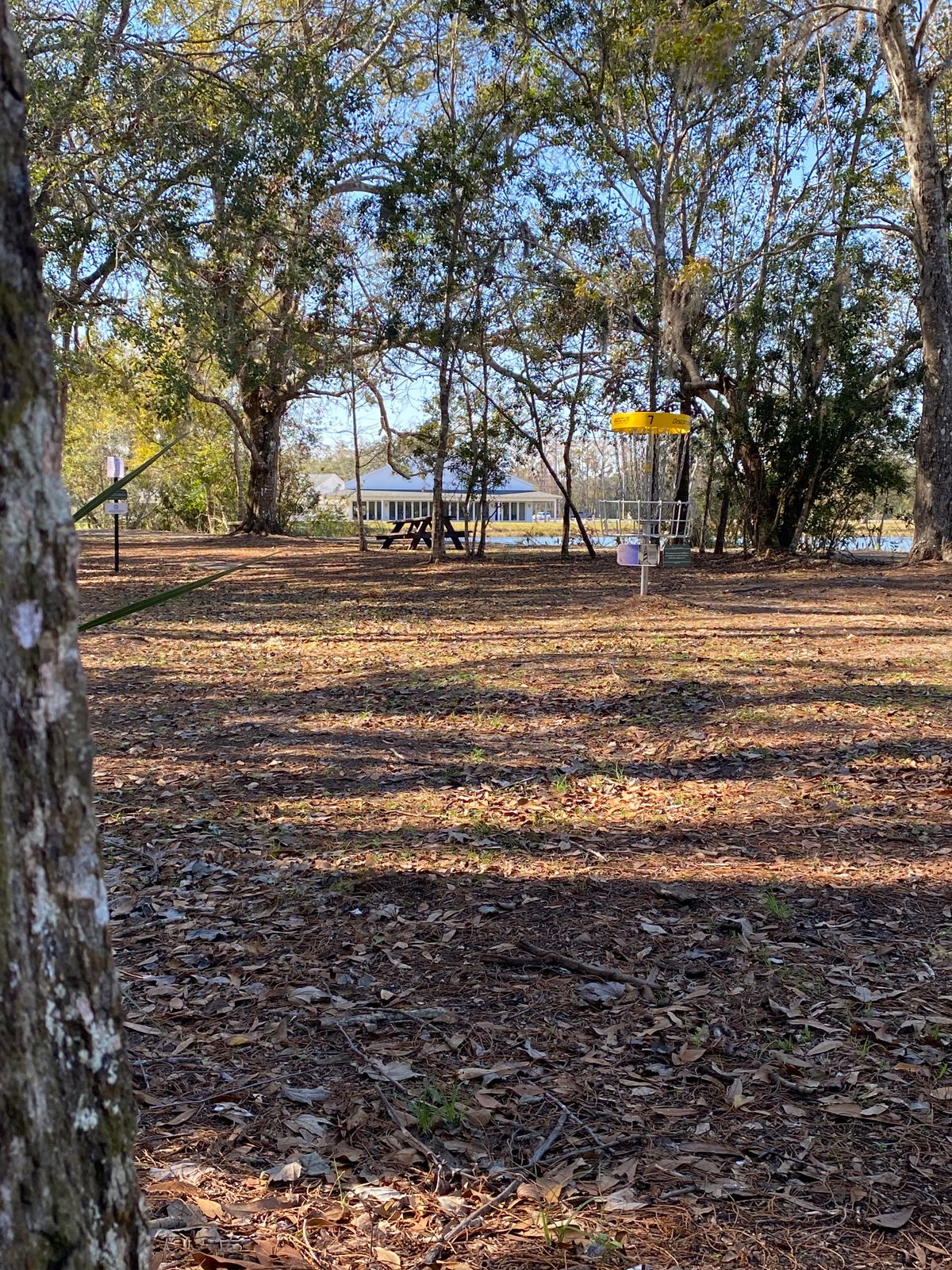 Hole 7 basket.