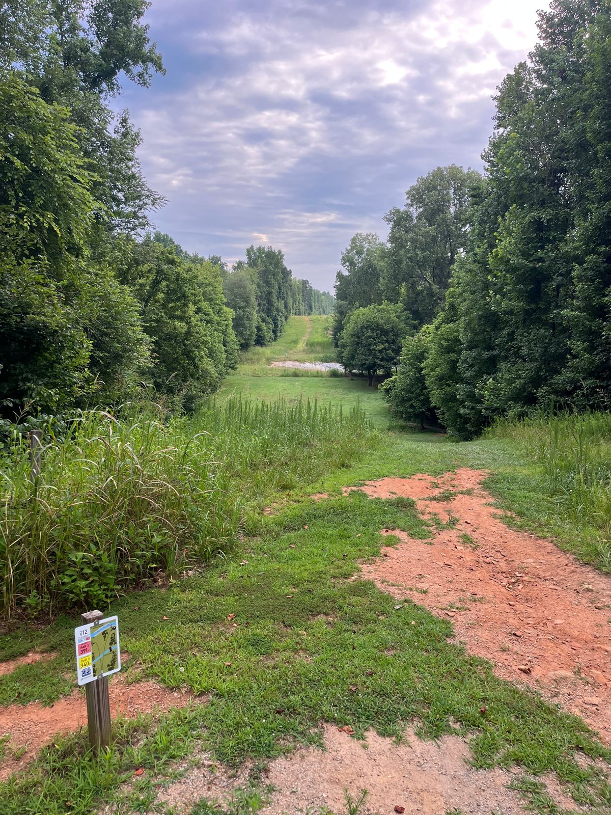 White tee 12. Watch out for high brush on left.
