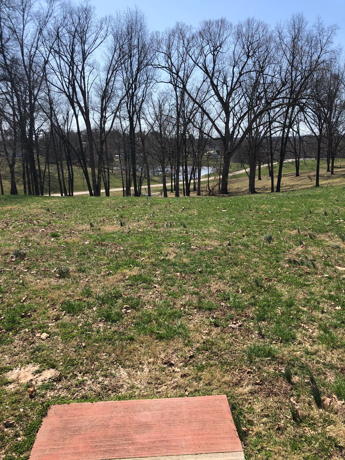 Hole 8