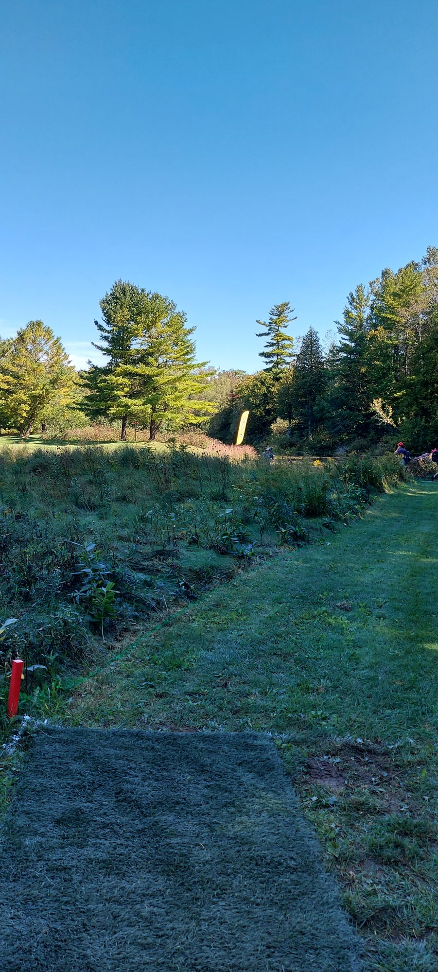 Tee pad 12 🇨🇦🌲🇨🇦🌲🇨🇦