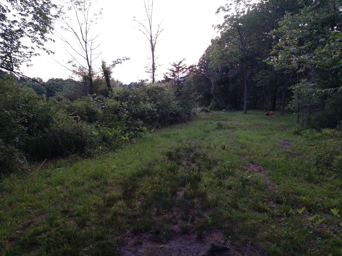 Hole 18