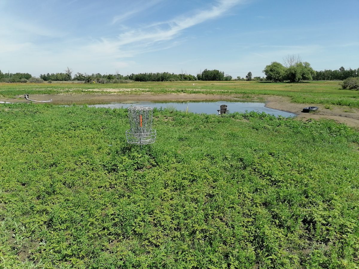 #19 green