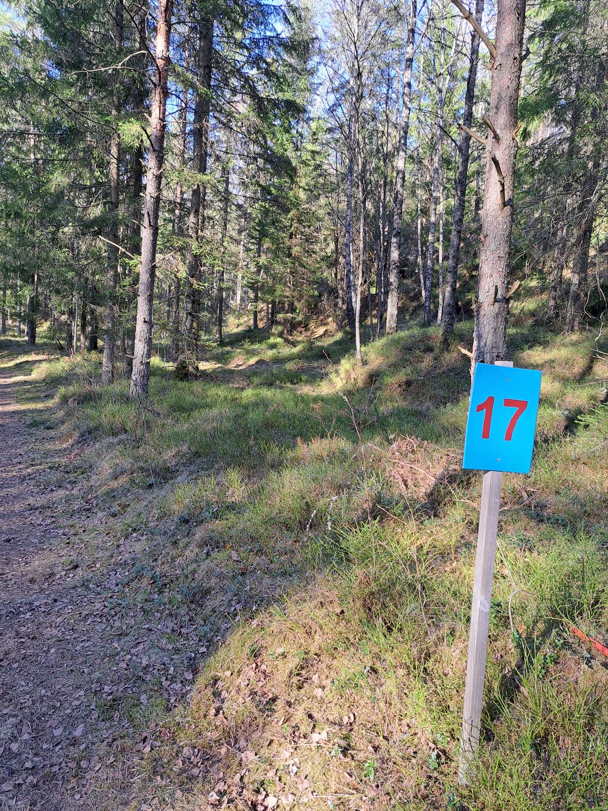 Hål 17