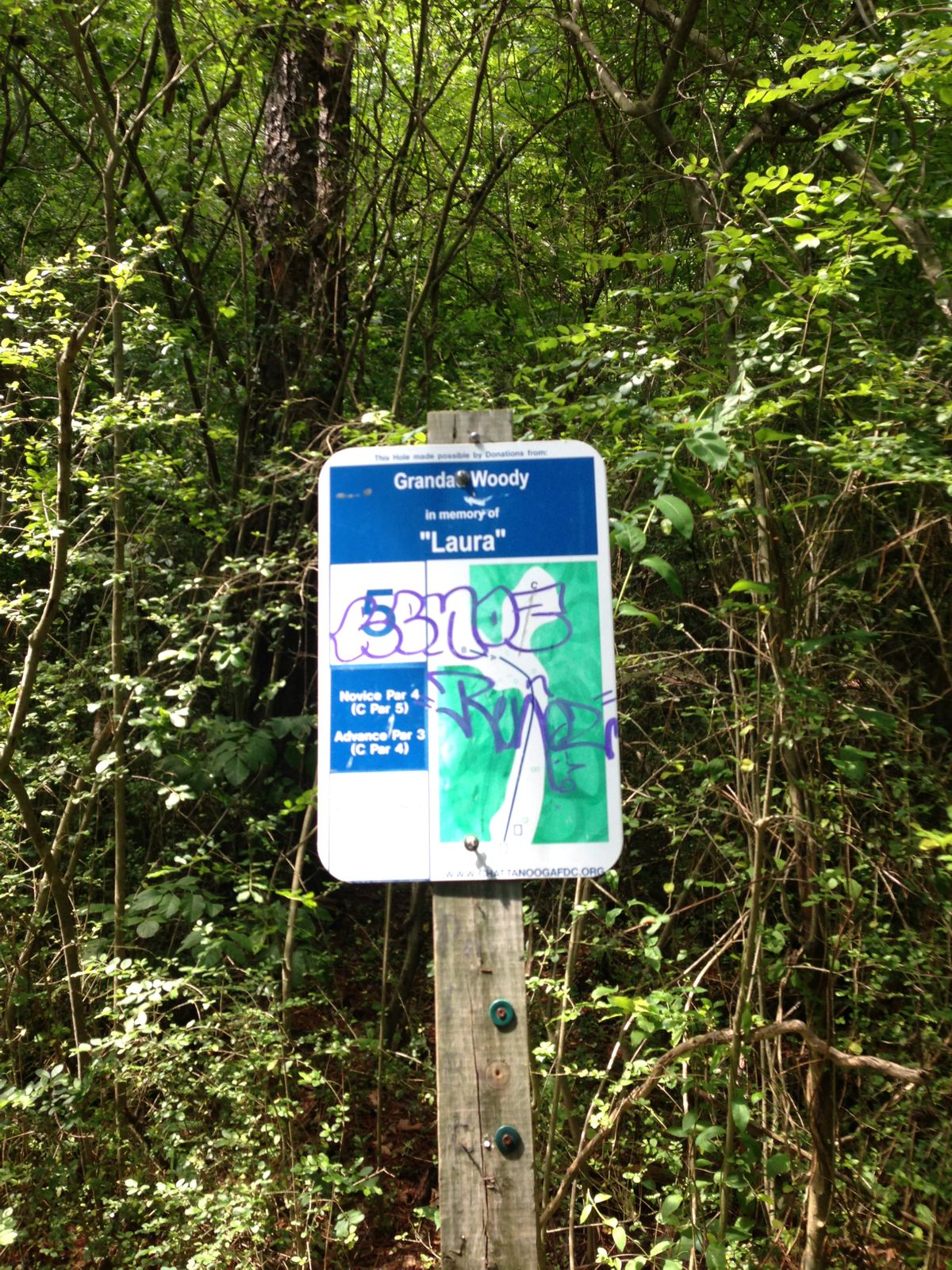 Hole 5