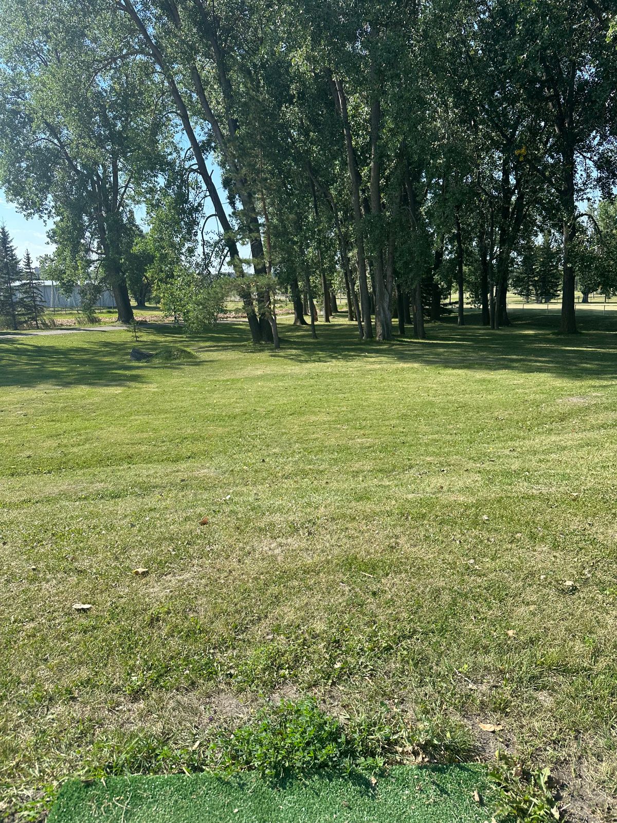 Hole 5