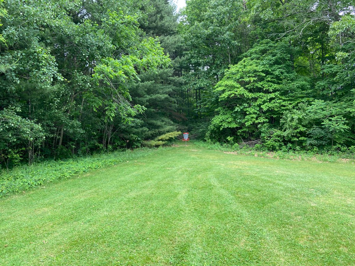 Hole 8 basket