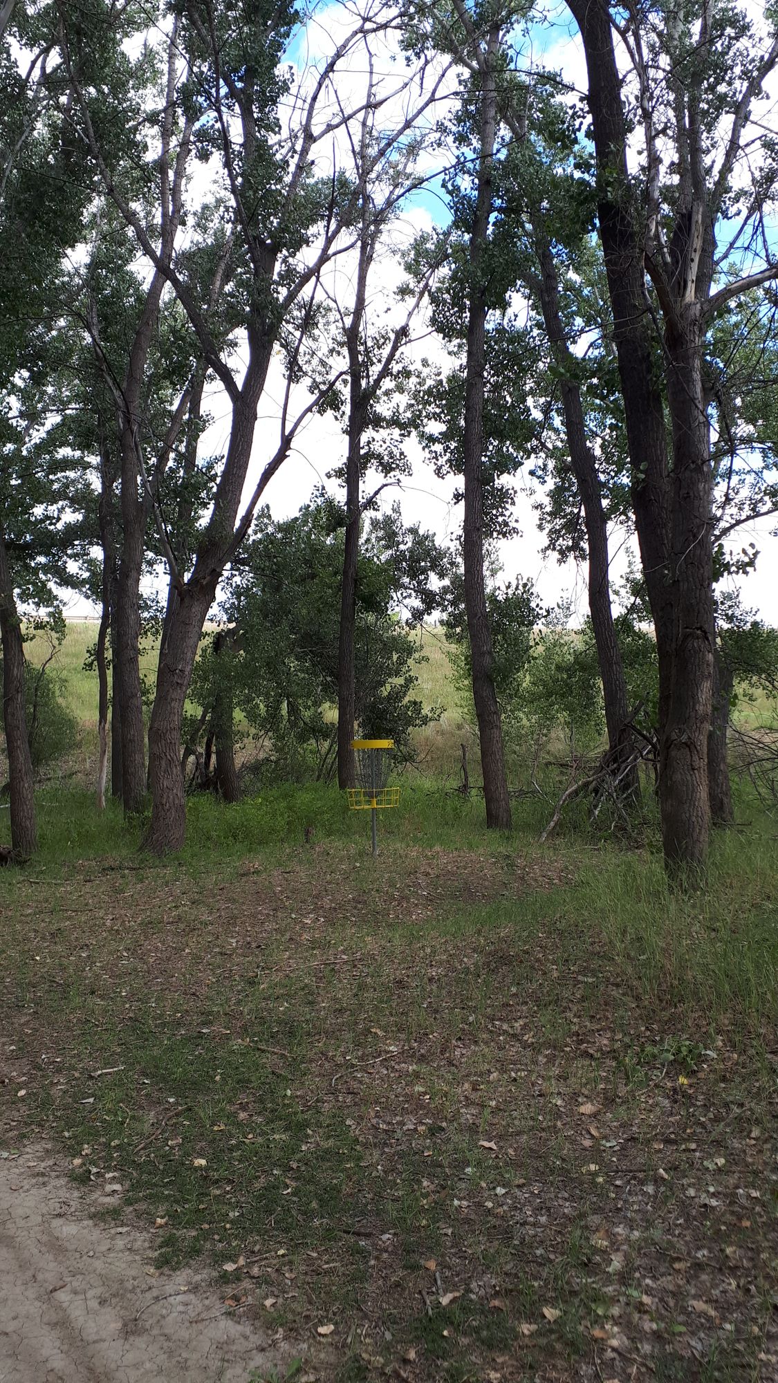 Hole 5 green and basket