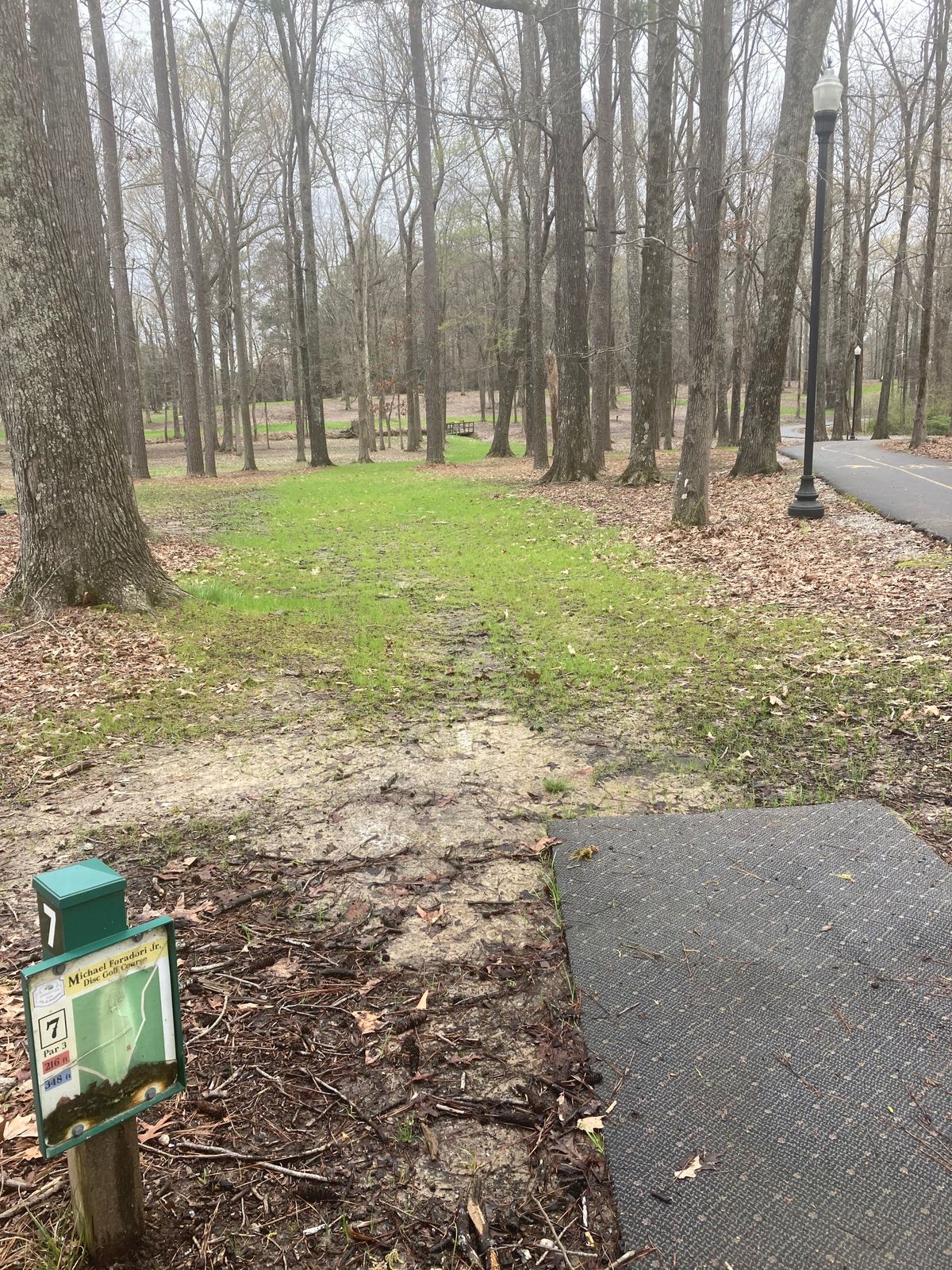 Hole #7