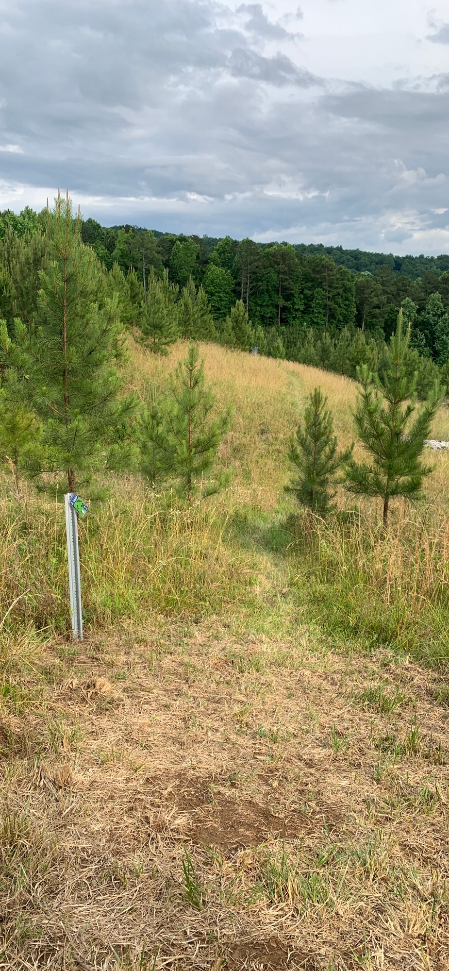 Hole 2