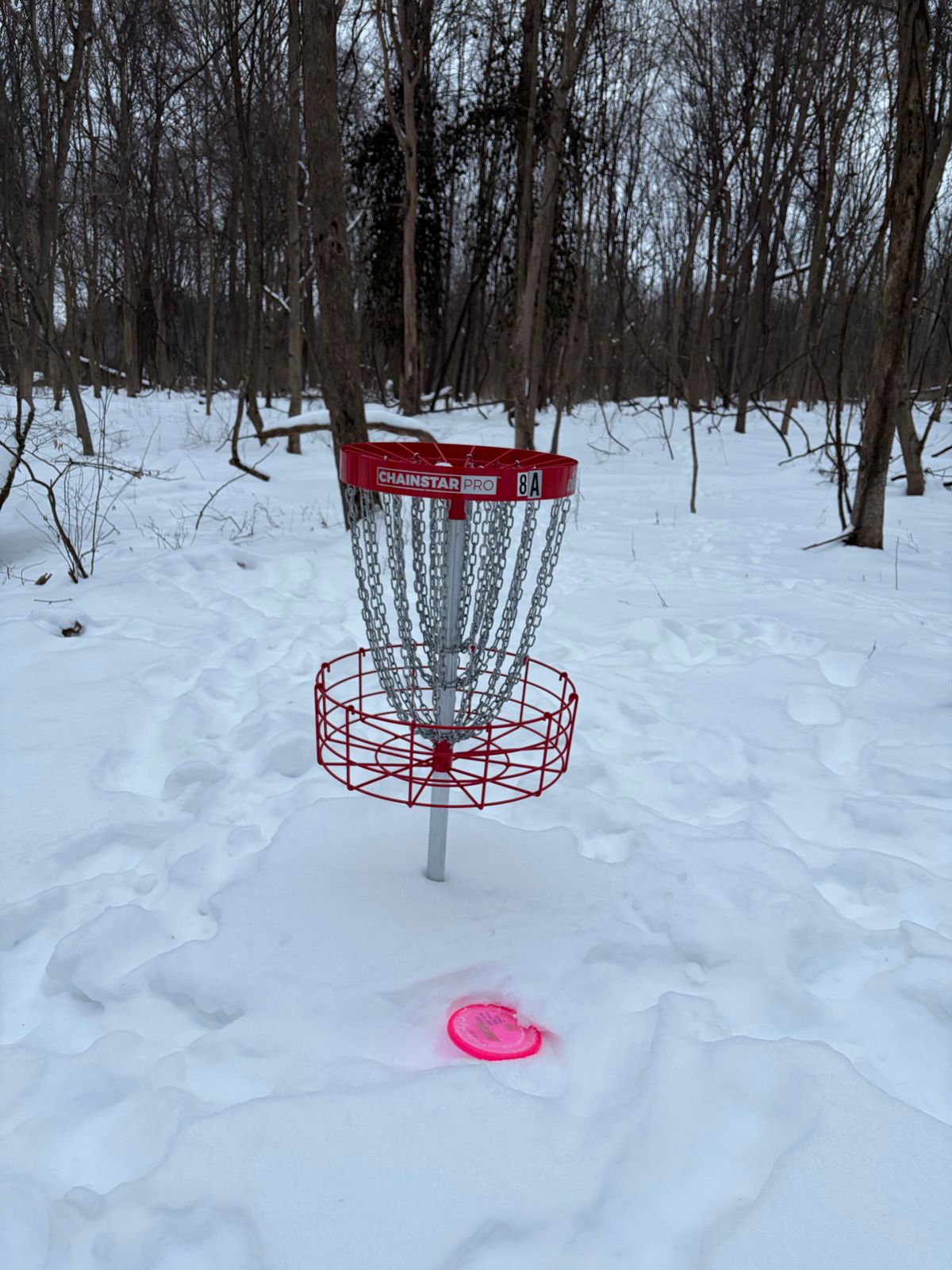 3 new bonus holes on short layout!