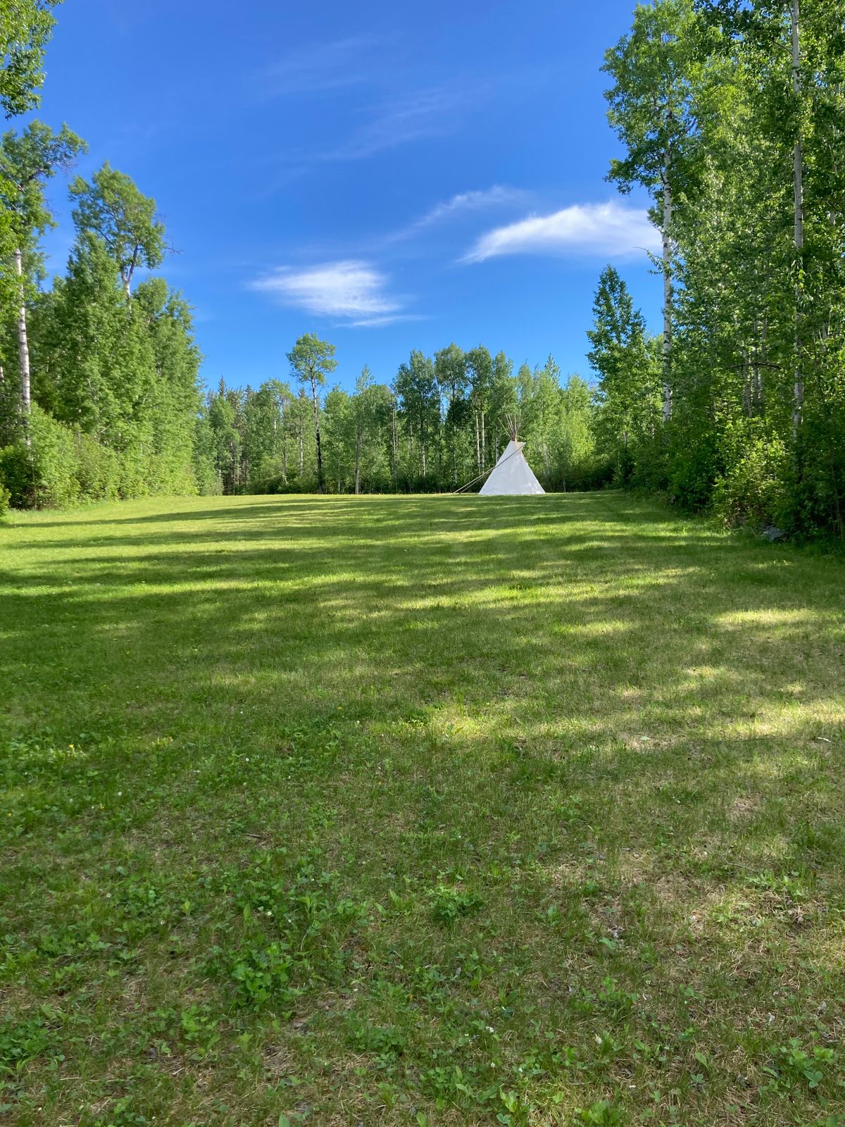 Action #8 has a new addition of a Tipi