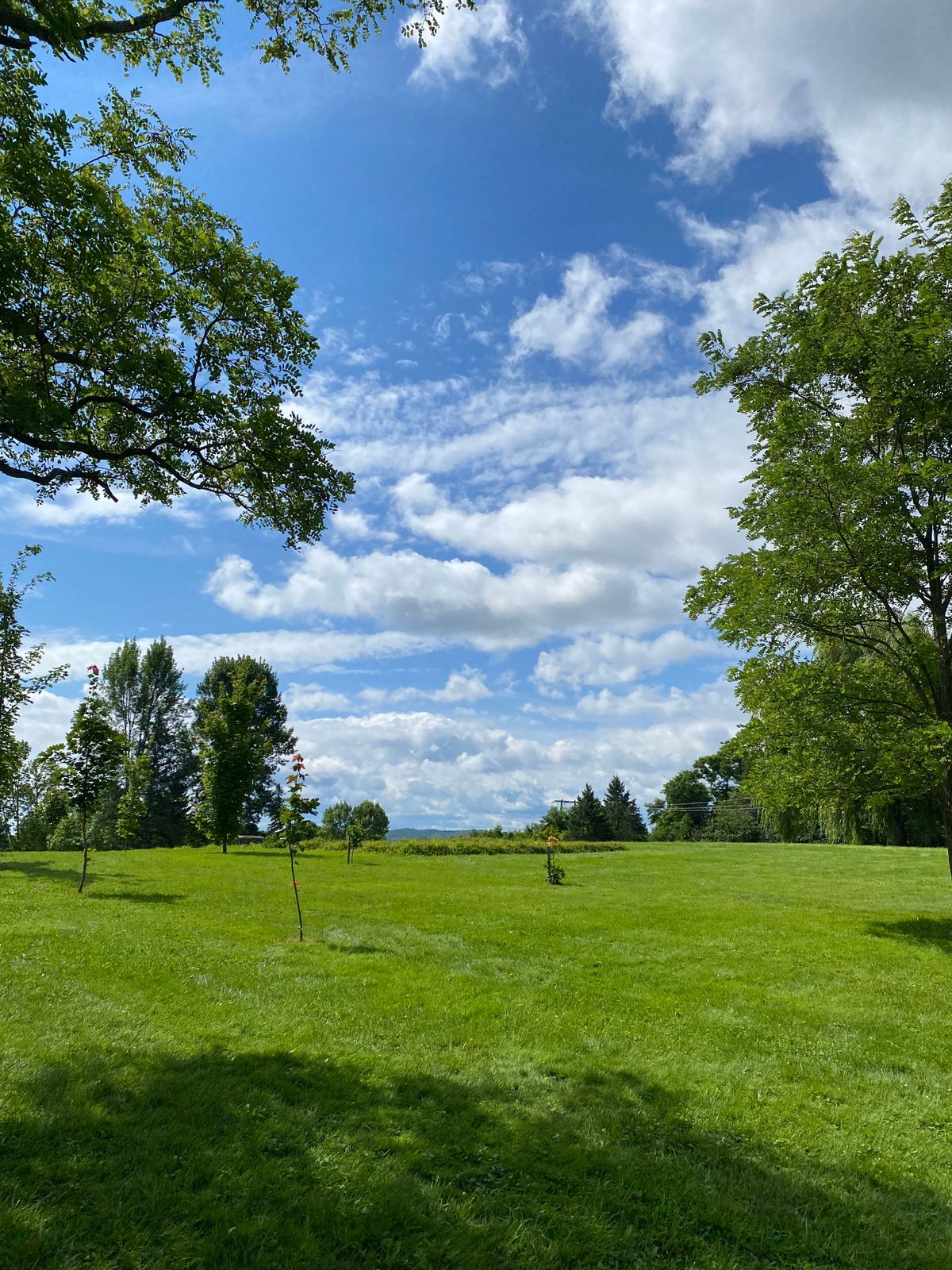 Beauty of a day on the course!