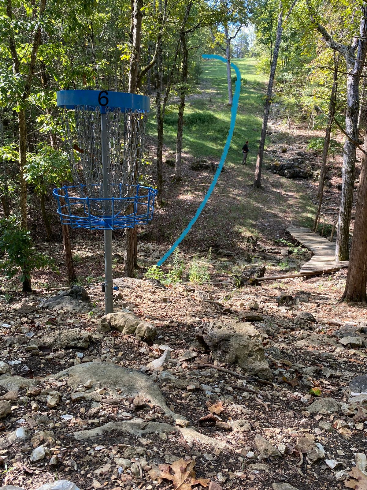 Green for 6