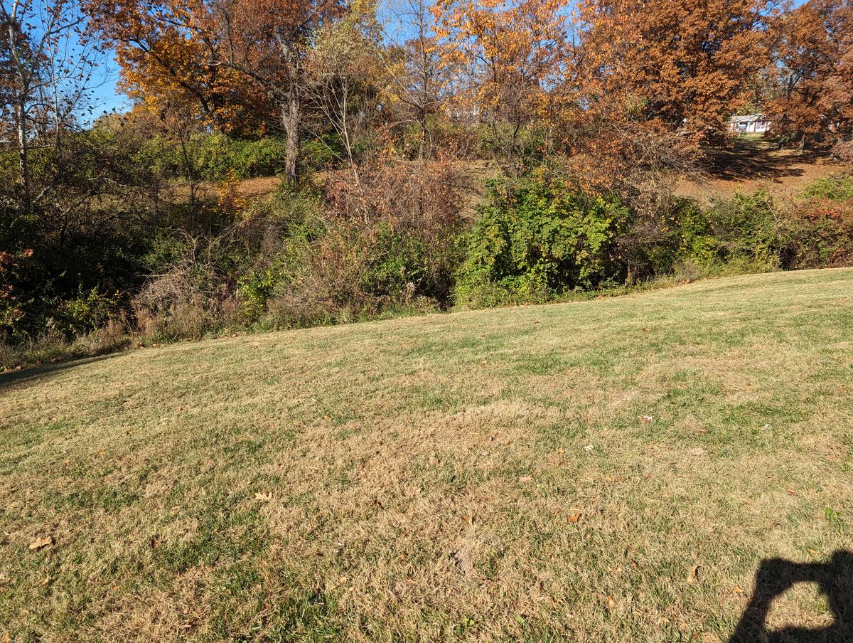 You've got to throw over this on hole 1