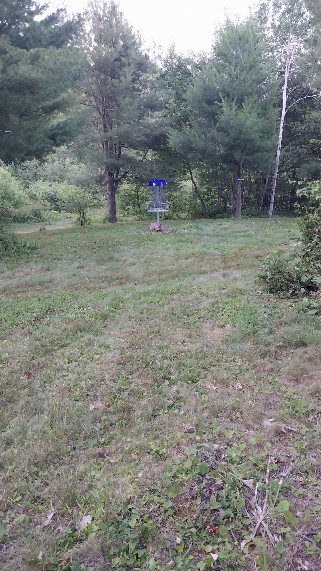 Hole 17 short