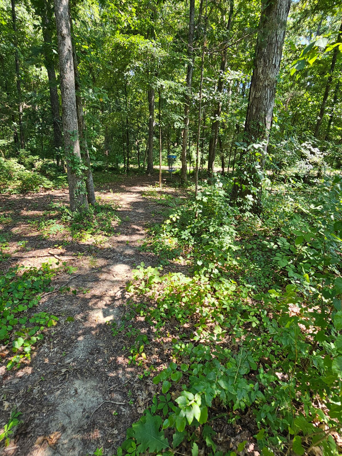 Hole 8's fairway