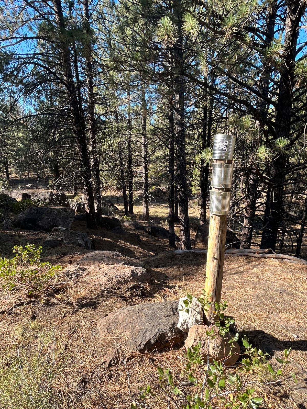 Super fun putt/danger immediately on Hole 1