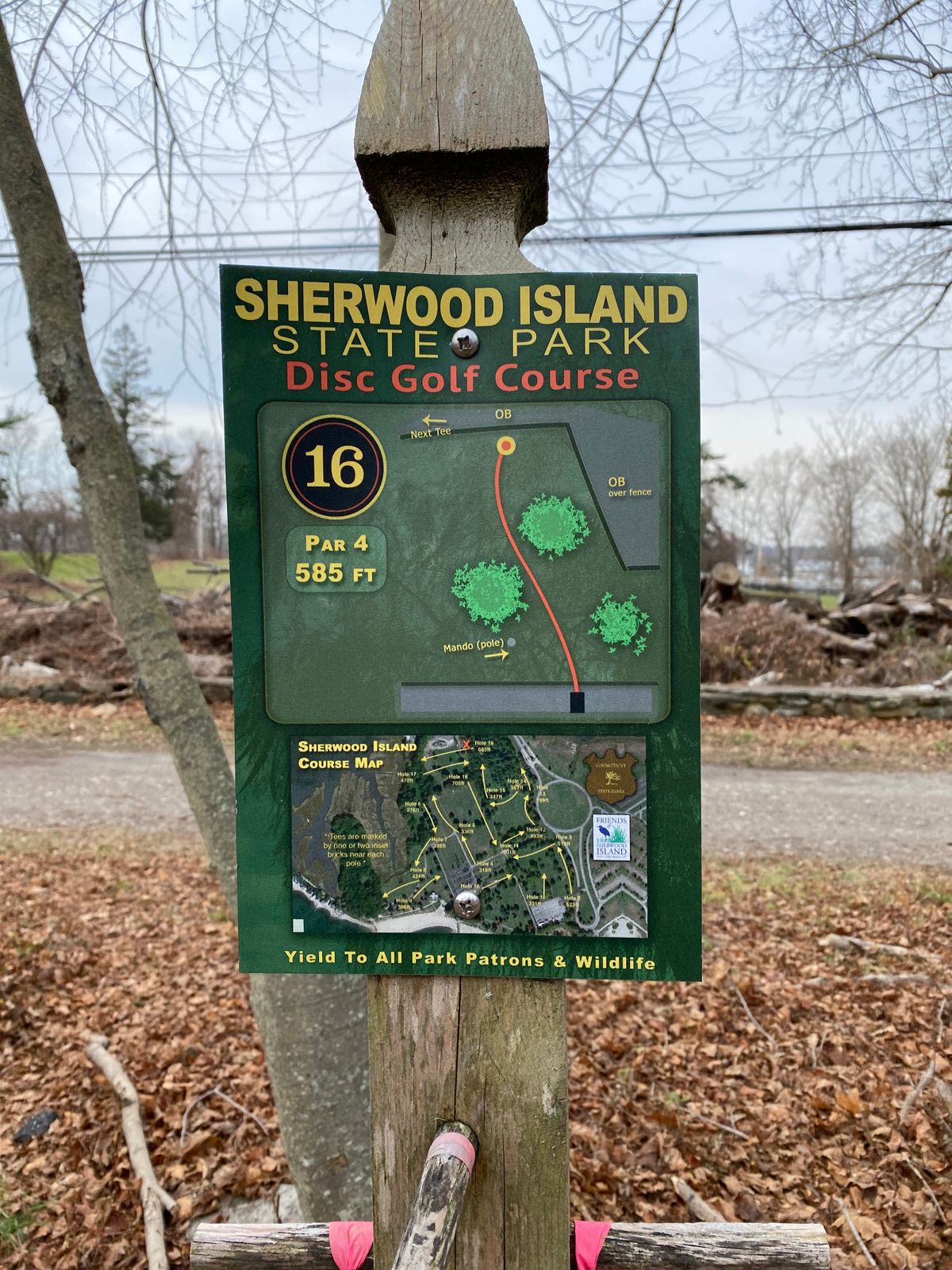 Original 16th tee, out of play — basket has been removed.