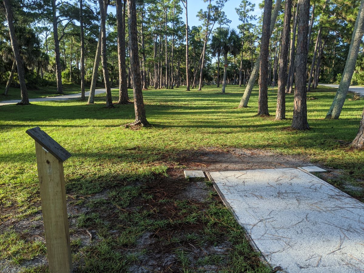Hole 6 tee pad w/basket in the distance