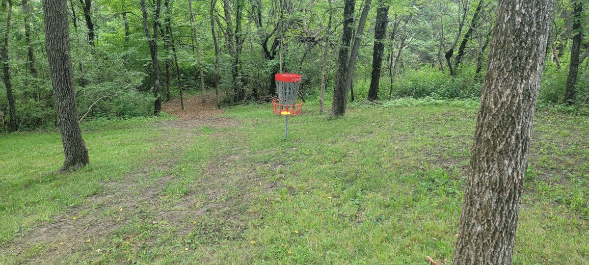 Looking down the hill to 4's basket.