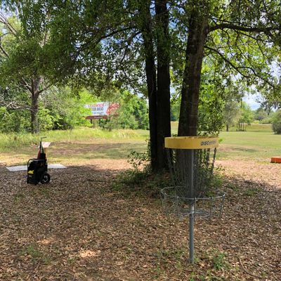 Hole 11, basket to tee