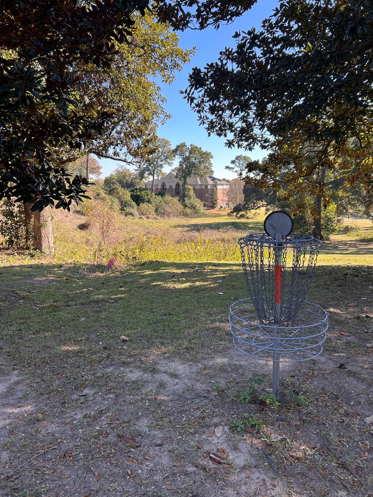 View from Hole 17's basket