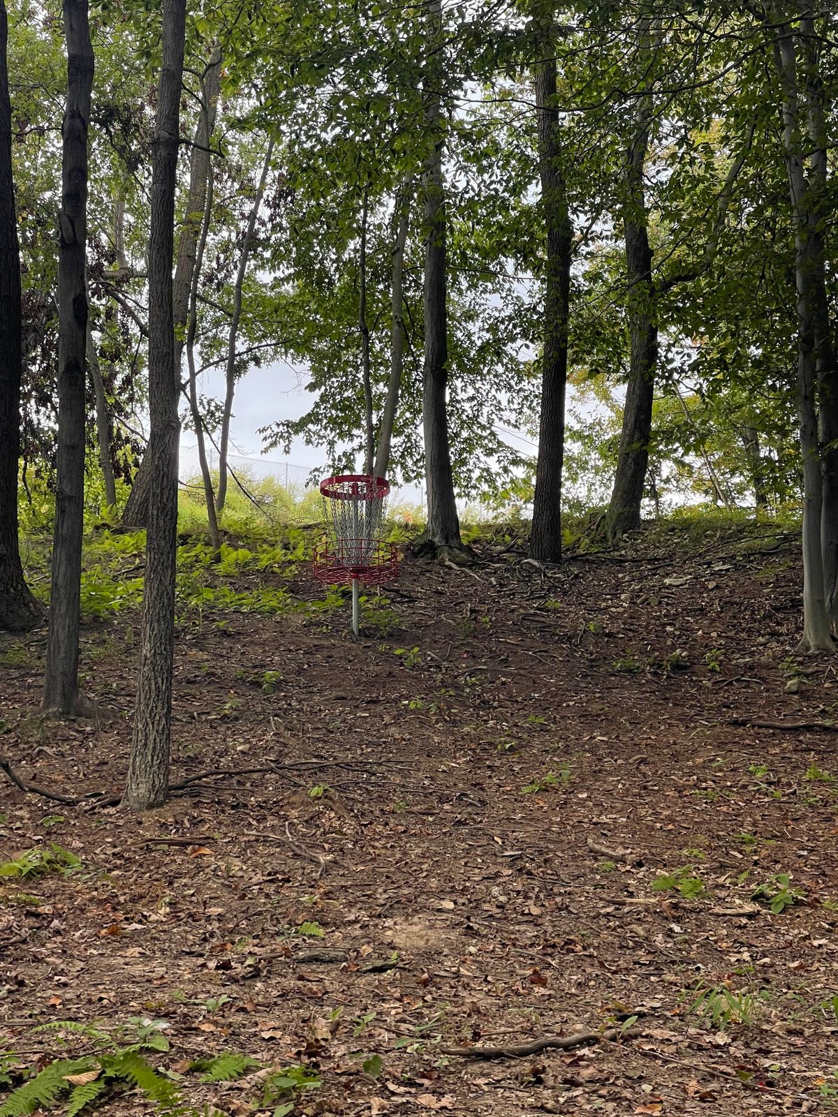 Hole 7 hillside green.